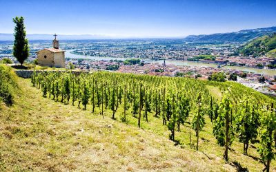 Increased Rhône trade ahead of En Primeur releases