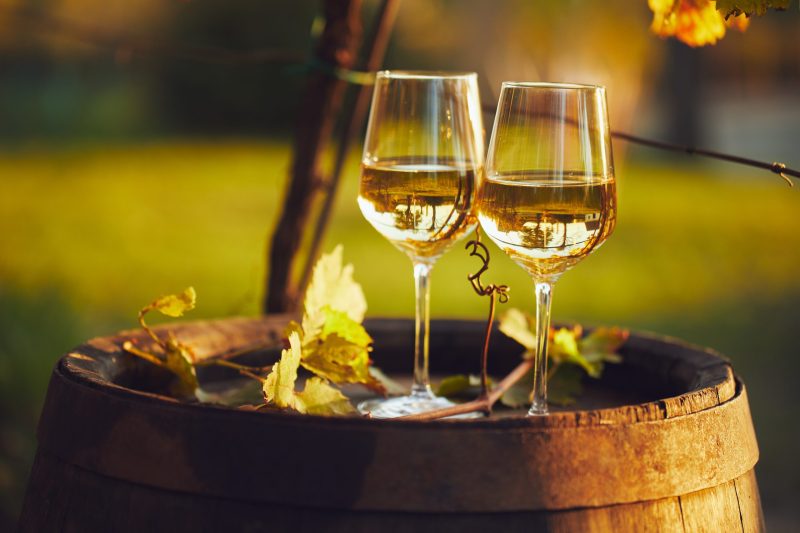 Two full glasses of white wine on wooden barrel in autumn