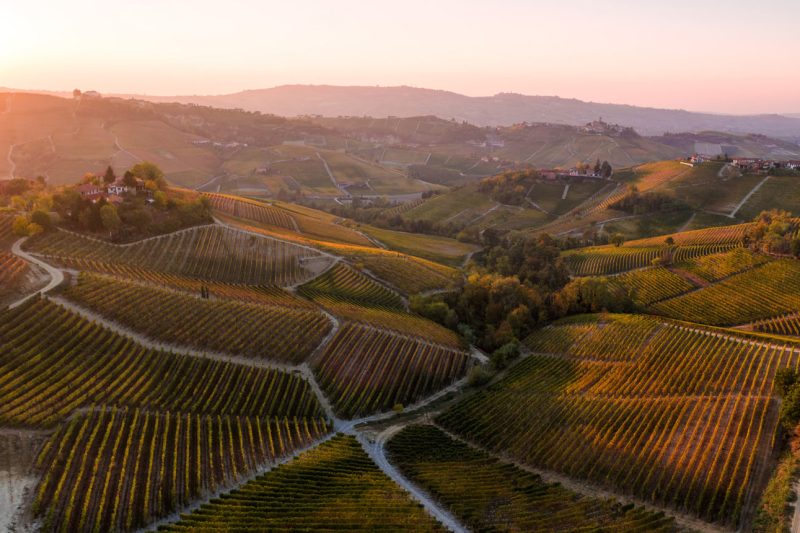 Barolo-wine-region