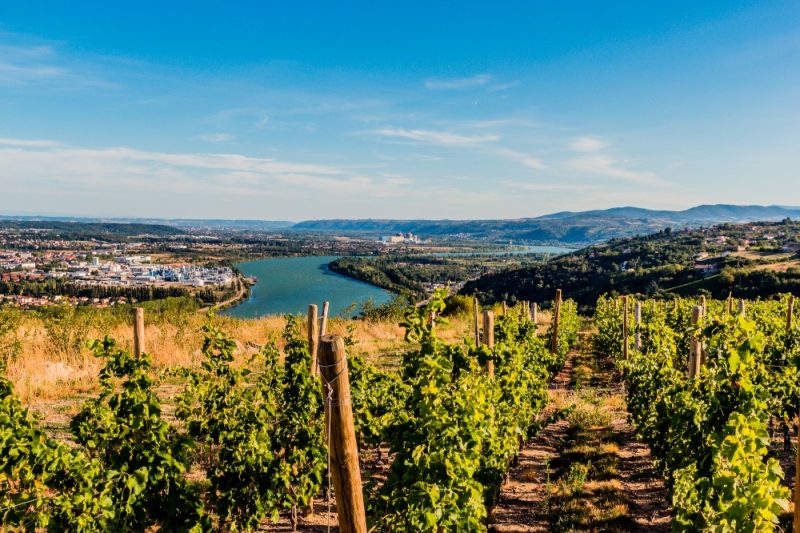 rhone-stock